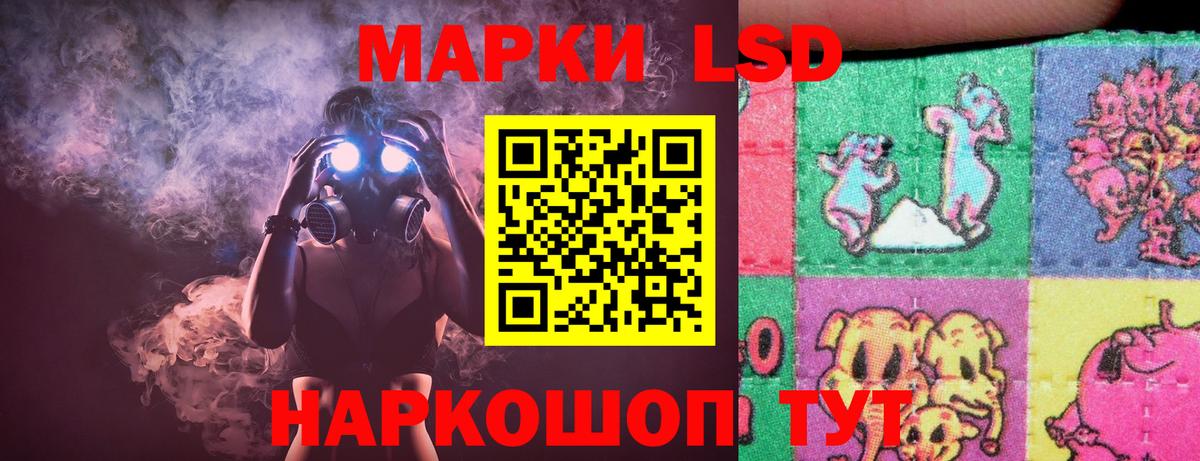 blacksprut ССЫЛКА  Вход с VPN  Лсд 25 экстази кислота  Ливны  Лсд 25 экстази кислота 