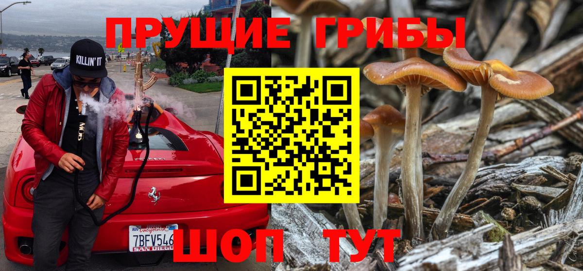 Псилоцибиновые грибы MAGIC MUSHROOMS  Галлюциногенные грибы Magic Shrooms  Вход с VPN  Ливны 