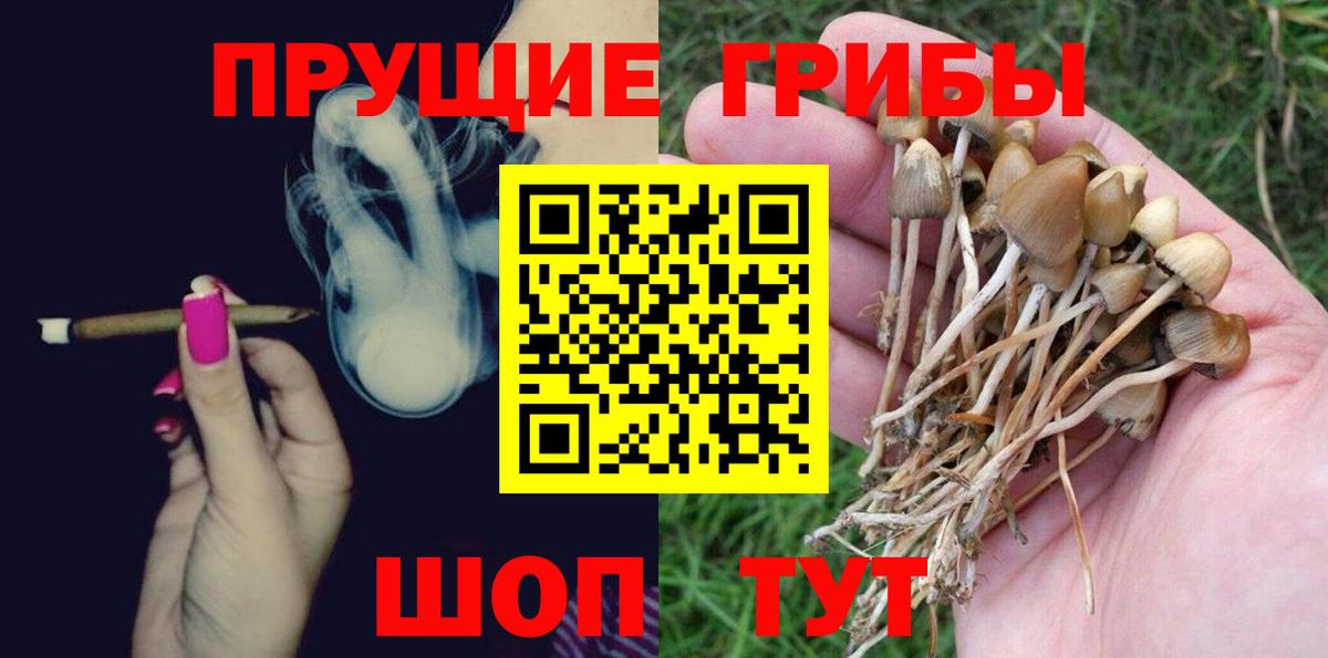 Псилоцибиновые грибы Psilocybine cubensis Ливны