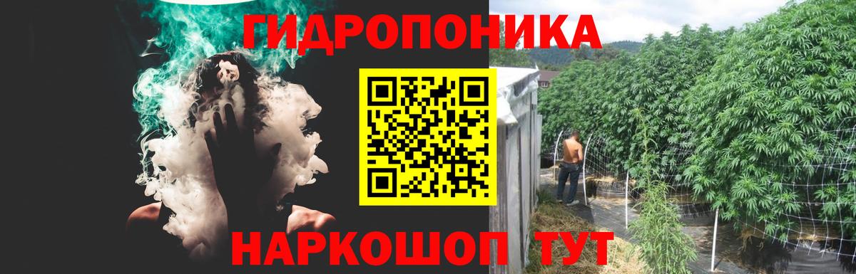 Бошки Шишки сатива Ливны